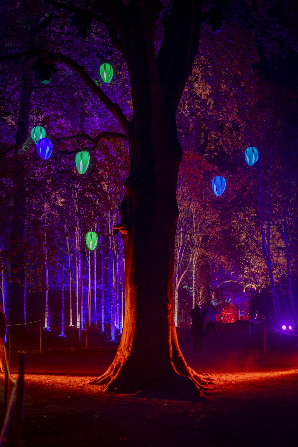 Lighting Up Festive Season with RG Live