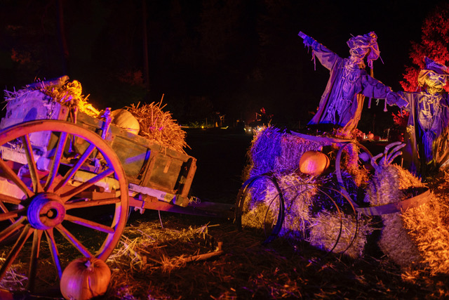 WEB_FRIENDLY_034A5921_0524_Quarry_Bank_Halloween_RG_LIve_photographed_by_photographer_Andrew_Ogilvy_Photography