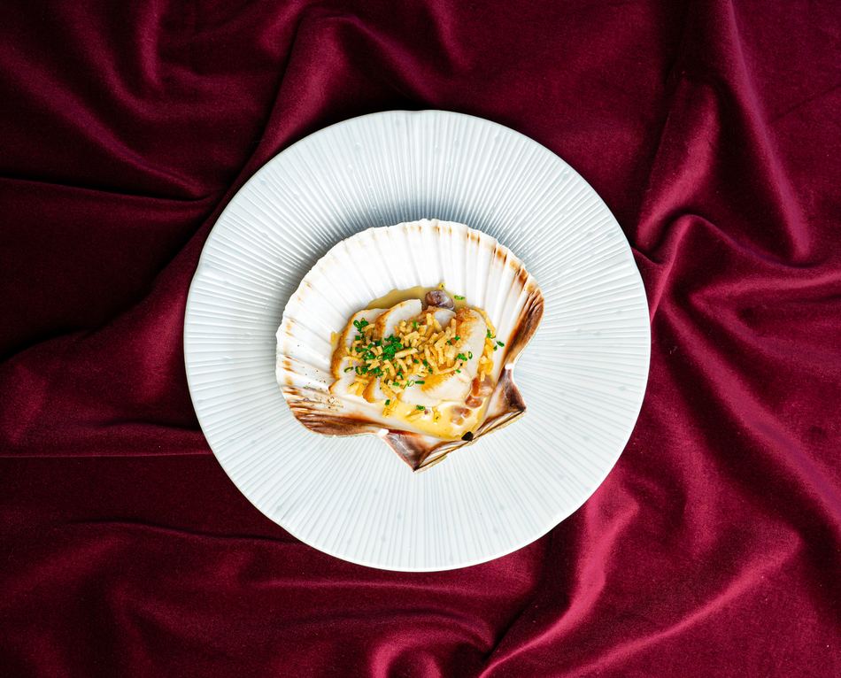 Plated scallop dish styled for a food and drink brand